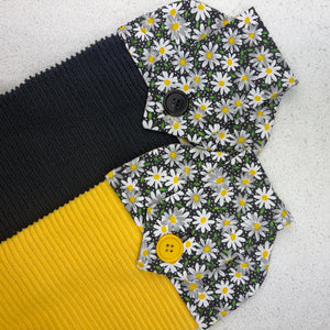 daisy, flower, black and yellow